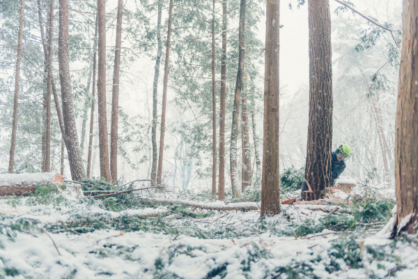 やまとわ | NEWSEUM SHOP